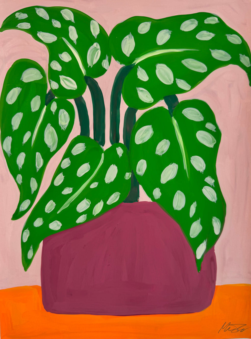 15. Plante