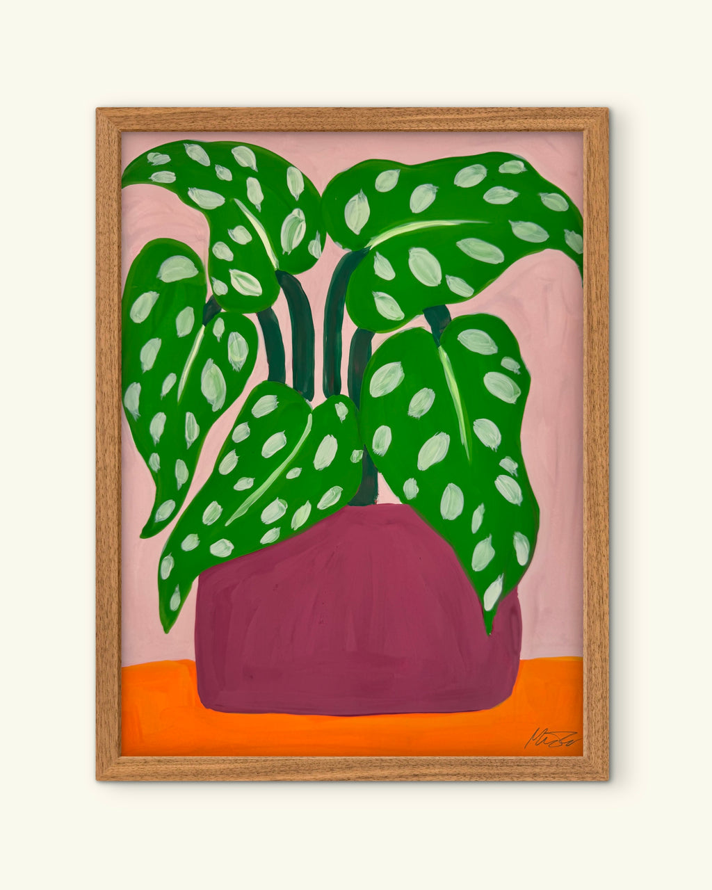 15. Plante