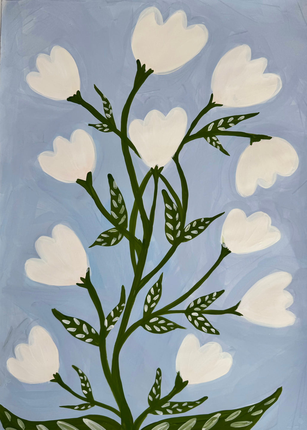 Hvite blomster